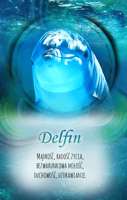 Delfin