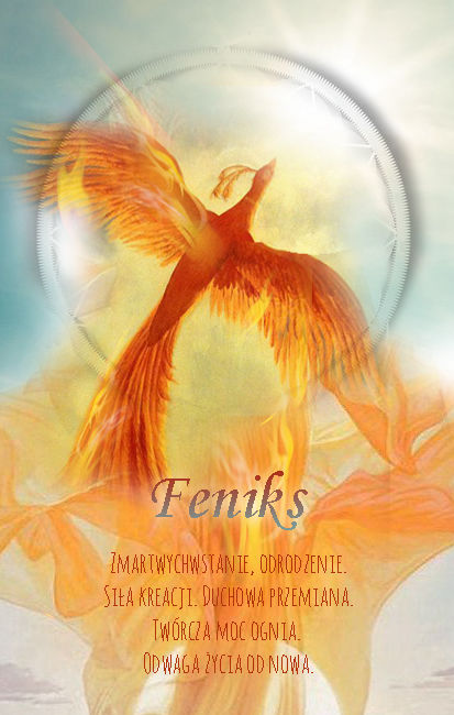 Feniks