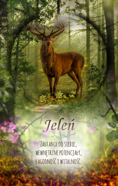 Jeleń