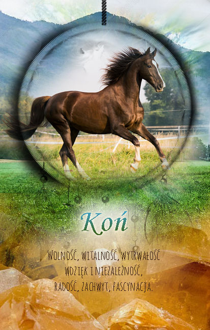 Koń