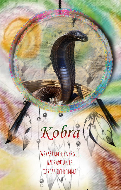 Kobra