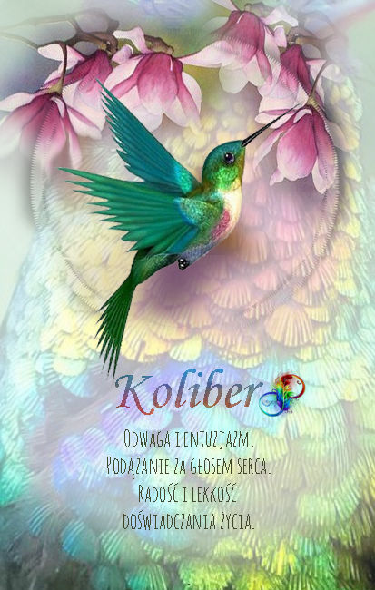 Koliber
