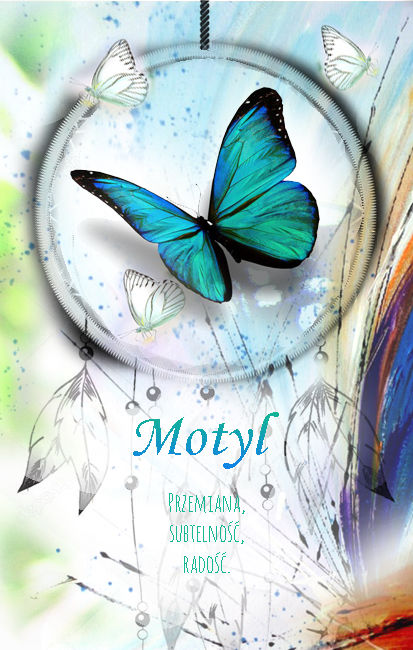 Motyl