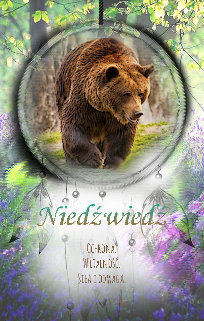 Niedźwiedź