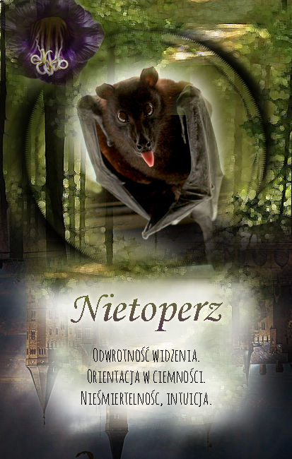 Nietoperz
