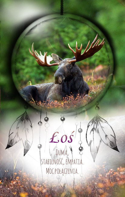 Łoś