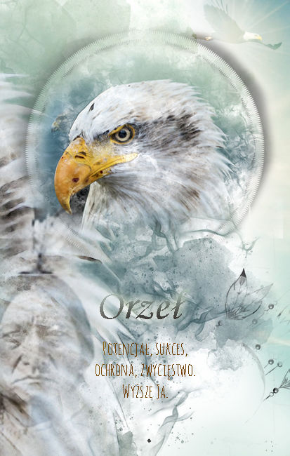 Orzeł