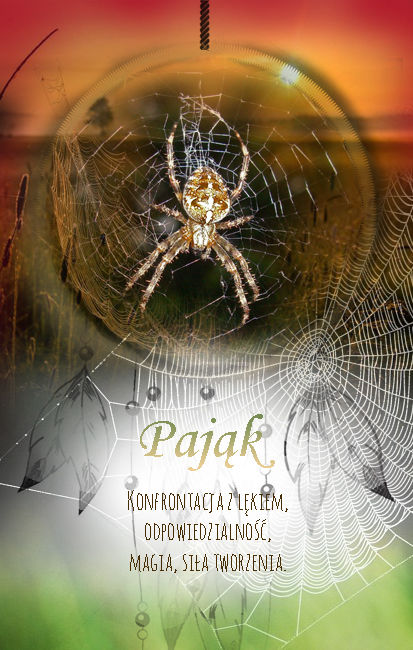 Pająk