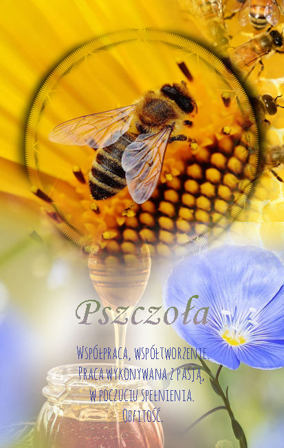 Pszczoła