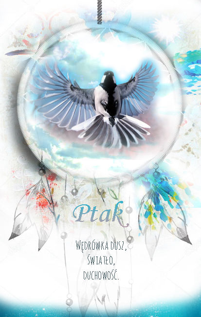 Ptak