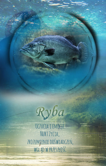 Ryba