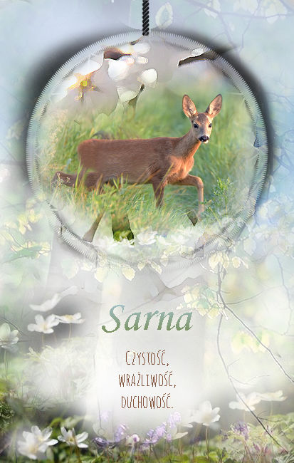 Sarna
