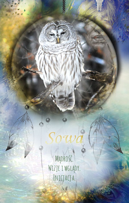 sowa