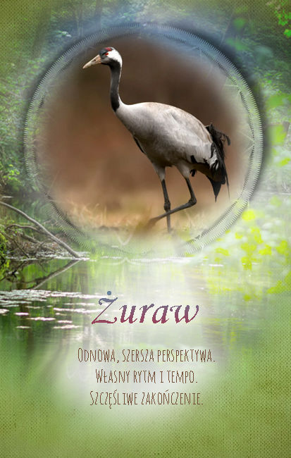 Żuraw