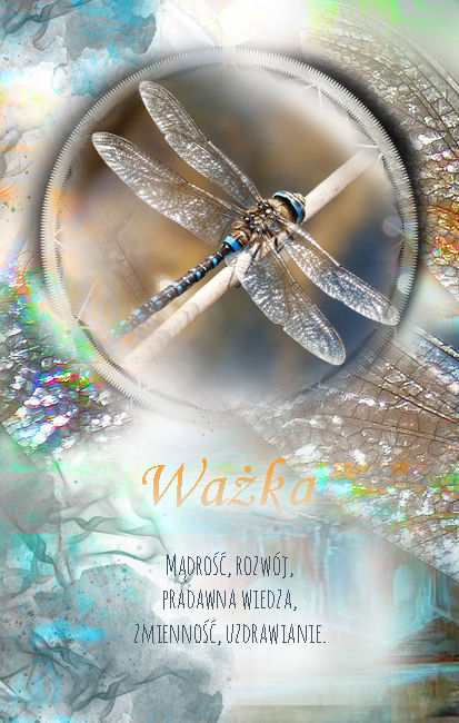 ważka