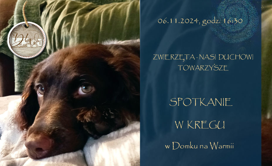 Zwierzęta 